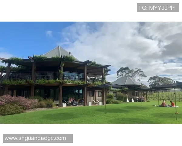 姚明海外旅行探索世界各地文化与风景的精彩瞬间