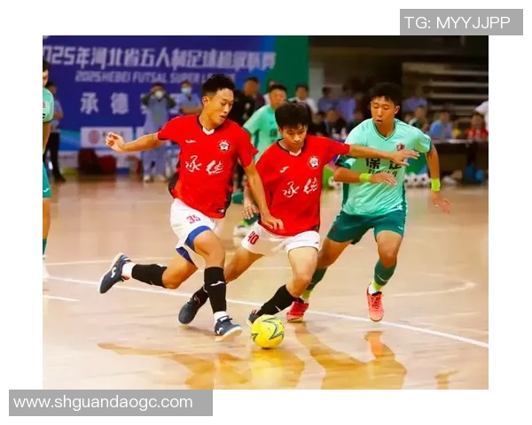 承德足球明星盘点他们的成就与影响力分析