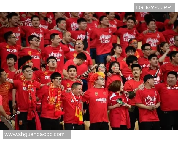 足球明星畅谈中国足球发展现状与未来潜力分析