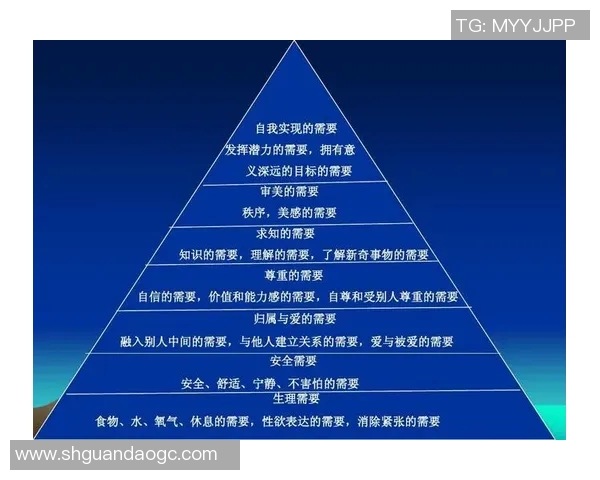中年人如何科学安排体育锻炼提升身体素质与心理健康的有效策略