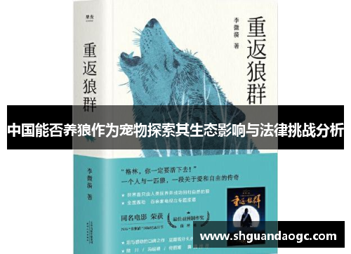 中国能否养狼作为宠物探索其生态影响与法律挑战分析