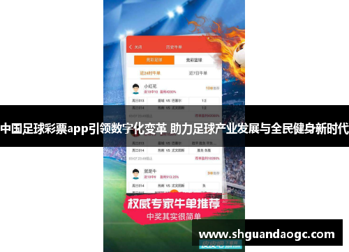 中国足球彩票app引领数字化变革 助力足球产业发展与全民健身新时代